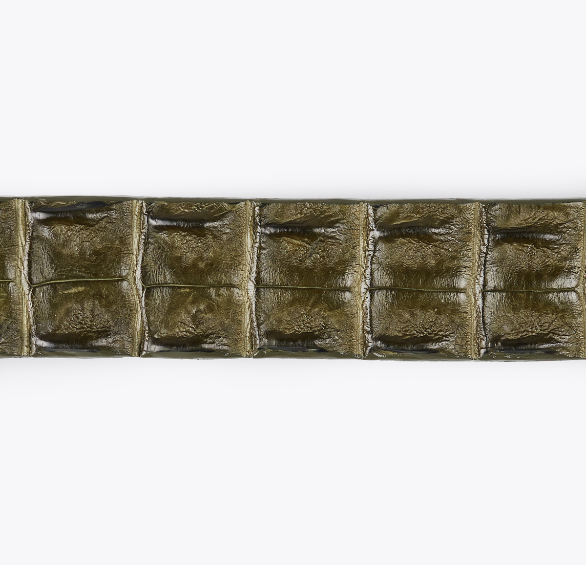 Cinturón Cocodrilo Verde