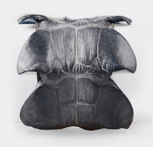 Brazalete Cocodrilo Negro