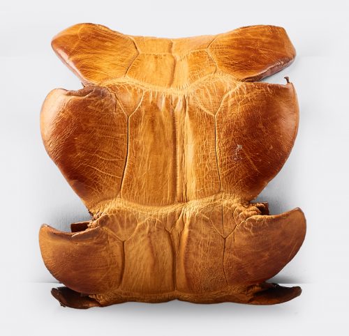Brazalete Cocodrilo Cuero