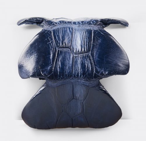 Brazalete Cocodrilo Azul